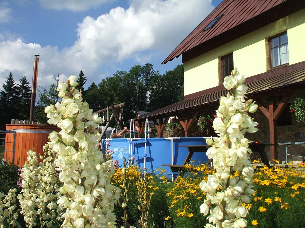 Apartments Večerník Rokytnice Rokytnice nad Jizerou Exteriér fotografie