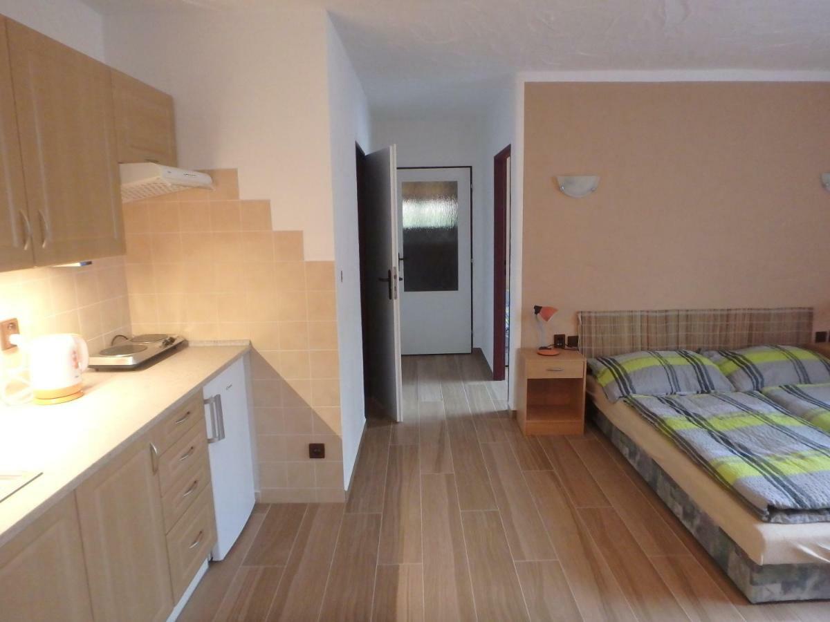 Apartments Večerník Rokytnice Rokytnice nad Jizerou Exteriér fotografie